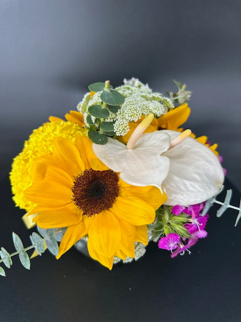Springtime Blooms
