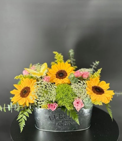 NEW Arrangements