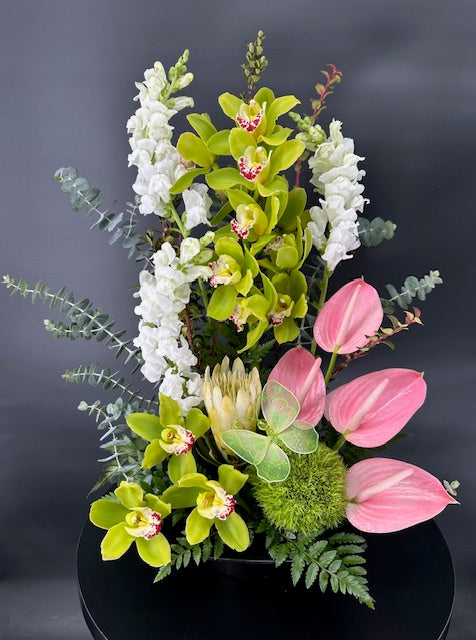 Tropical Arrangements