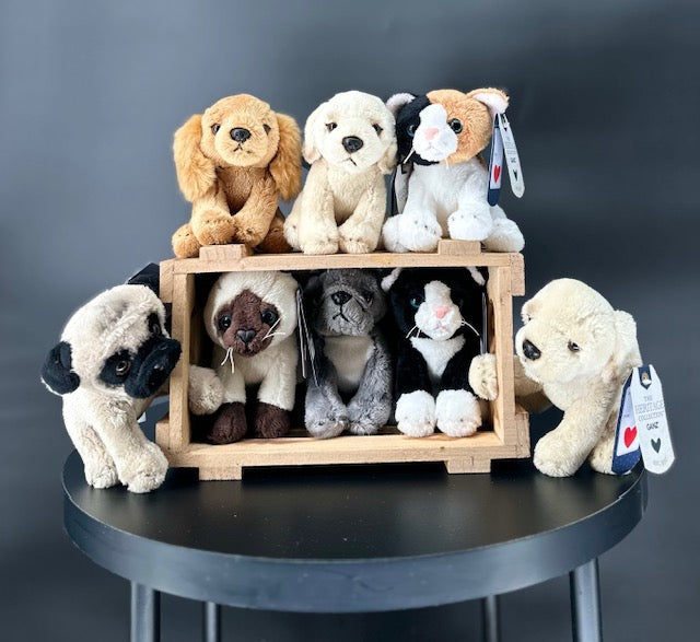 Gifts & More