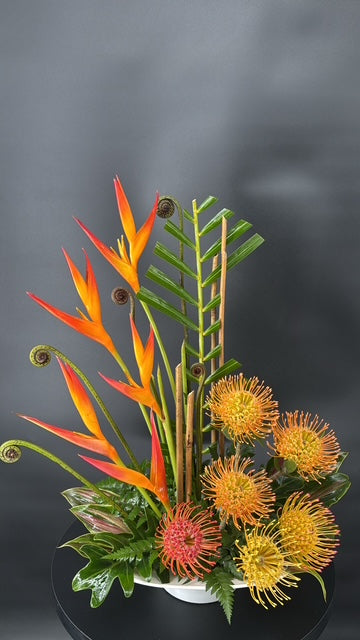 Orange Dream