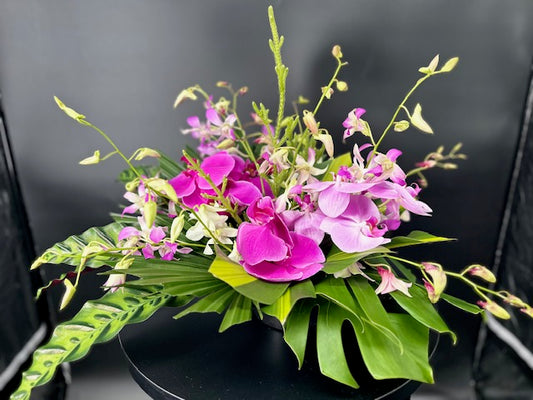Orchid Arrangement