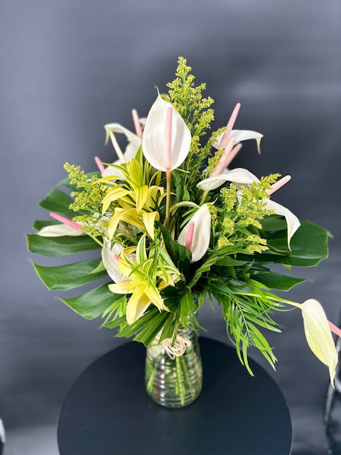 Tulip Blooms