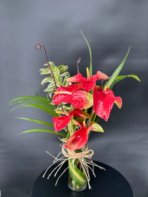 Kalapana Obake Arrangement