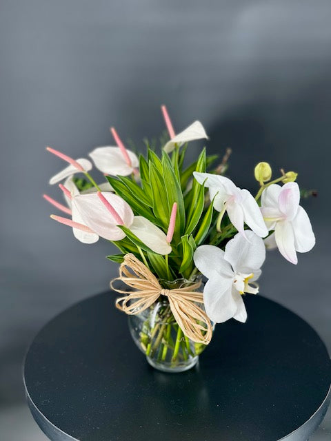 Fresh Blooms