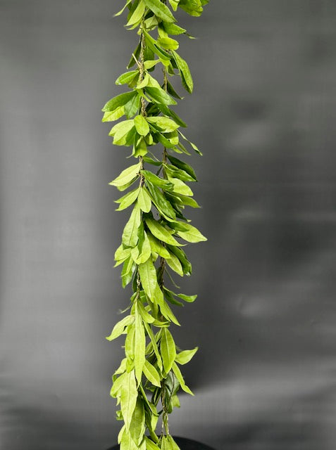 Maile Style Ti Leaf Lei