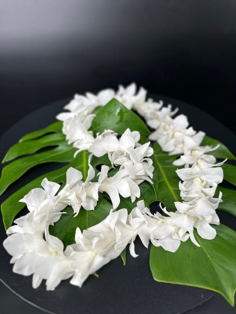 Single Dendrobium Lei
