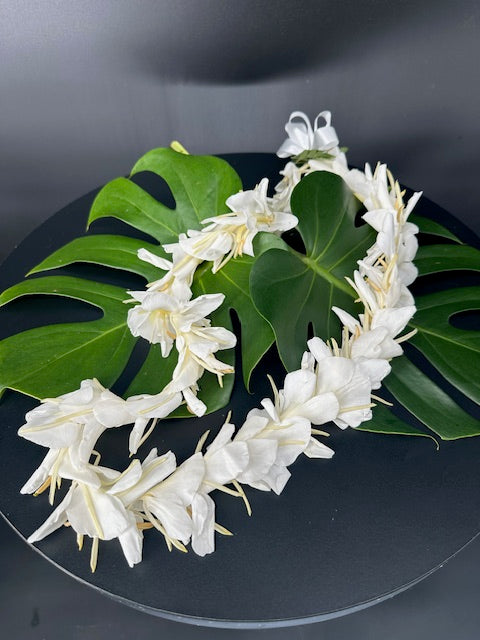 Single Ginger Lei