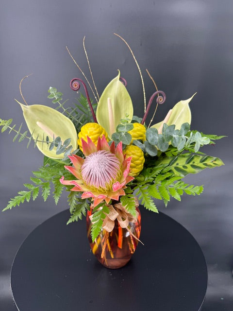 Protea Majesty