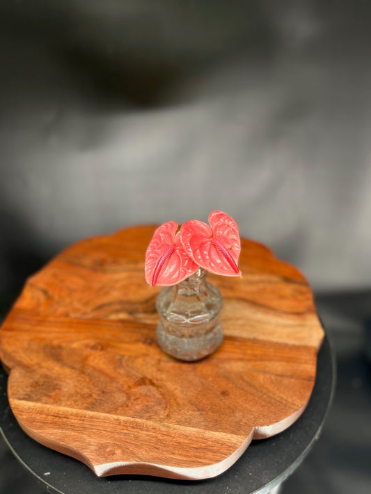 Mini Anthurium pink (Single Stem)